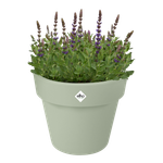 green basics top planter 30cm stone green